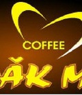 Hình ảnh: Đại lý phân phối cà phê dakme hà my
