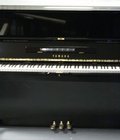 Hình ảnh: Khai trương showroom mới giảm giá đặc biệt cho piano, guitar