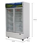 Hình ảnh: Tủ mát Sanaky VH1200HP 1200L tủ dung tích lớn giá rẻ nhất thị trường, giao hàng miễn phí