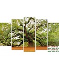 Hình ảnh: Tranh bộ ghép 5 tấm DH577A (kích thước 150x90cm)
