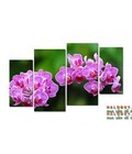 Hình ảnh: Tranh ghép bộ Lan tím DH578A (kích thước 120x80cm) 5
