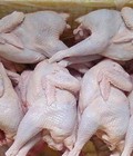 Hình ảnh: Bán thịt gà nguyên con, thịt gà dai hàn quốc