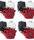 Hình ảnh: Nhà phân phối các loại động cơ nổ chạy xăng honda hàng chính hãng giá rẻ nhất