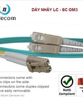 Hình ảnh: Dây nhảy quang OM3 10 GiG 1 đầu vuông lớn, 1 đầu vuông nhỏ LC SC Simplex, Duplex