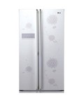 Hình ảnh: Phân phối Tủ lạnh 528 Lít LG GR B227BPJ giá gốc