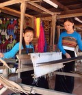 Hình ảnh: Du lịch chỉ với 650k