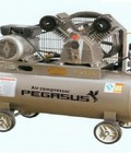 Hình ảnh: Máy nén khí dây đai pegasus model tm v 0.17/8 180
