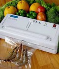 Hình ảnh: Máy hút chân không gia đình DZ 300A gía rẻ tại Hà Nội