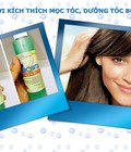 Hình ảnh: Dầu gội bưởi kích thích mọc tóc
