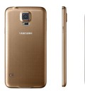 Hình ảnh: Nắp pin Samsung Galaxy S5 G900H