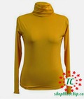 Hình ảnh: Áo thun giữ nhiệt cổ cao
