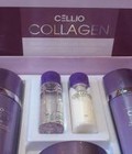 Hình ảnh: Bộ mỹ phẩm dưỡng da ngăn lão hóa Collagen Cellio