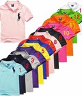 Hình ảnh: Aó Thun Polo Trẻ Em giá rẻ
