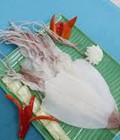 Hình ảnh: Mực Một Nắng Phan Thiết sỉ lẻ chất lượng thơm ngon