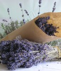 Hình ảnh: Bán hoa LAVENDER, hoa oải hương khô, túi thơm Lavender, Hạt giống, cam kết GIÁ RẺ cạnh tranh