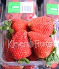 Hình ảnh: Dâu tây Úc tại Klever Fruits