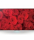 Hình ảnh: Giá hấp dẫn cuối tháng 12: Tivi Led sony KD65X8500B 4K khuyến mại lớn hôm nay.