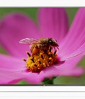 Hình ảnh: Chuyên phân phối tivi 3D led Lg 60LB650,60 inch,smart TV,Full HD,500Hz