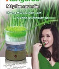 Hình ảnh: Máy trồng rau mầm tại nhà kangaroo KG262