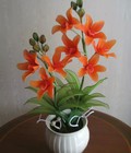 Hình ảnh: [Hoa voan] - Lan trầm (HS246)