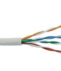 Hình ảnh: Báo giá đơn hàng cáp mạng cat5e, cat6e hàng chính hãng AMP
