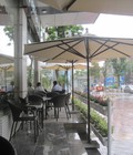 Hình ảnh: Ô dù cafe tròn thẳng tâm LT 901