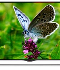 Hình ảnh: Tổng kho tivi 3D led LG 55UB850, 55 inch, Smart TV, 4K hoàn hảo thông minh