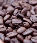 Hình ảnh: Cung cấp cà phê truyền thống và nguyên chất rang mộc giá rẻ