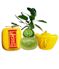 Hình ảnh: Bưởi Hồ Lô Tài Lộc. Dưa Vàng Phúc Lộc, Dưa Thỏi Vàng. Món quà tết ý nghĩa 2015