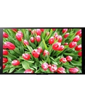 Hình ảnh: Phân phối tivi led 4k sony 49X8500/55X8500/65X8500/70X8500/55X9000/65X9000 chính hãng