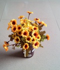 Hình ảnh: Bình hoa cúc vàng HL43