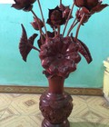 Hình ảnh: HOa sen gỗ Hương