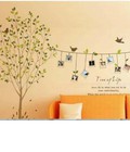 Hình ảnh: decal cây và 10 khung ảnh