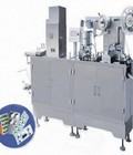 Hình ảnh: Máy đóng vỉ thuốc, máy ép màng nhôm, máy ép vỉ PVC, màng alu, máy dập vỉ thuốc, máy ép vỉ tự động DPP 140