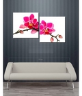 Hình ảnh: Tranh bộ treo tường DH720A (kích thước 100x50cm) 