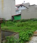 Hình ảnh: Đất thổ cư 4x22m lê đình cẩn giá 1,25 tỷ