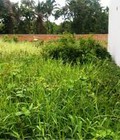 Hình ảnh: Đất thổ cư liên khu 10 11,p.bình trị đông,bình tân