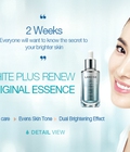 Hình ảnh: White Plus Renew Original Essence Tinh chất dưỡng trắng Laneige