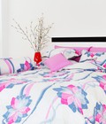 Hình ảnh: Drap Cuscino Cotton IN