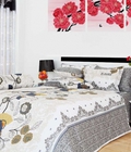 Hình ảnh: Drap Edena Cotton Satin