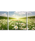 Hình ảnh: Tranh phong cảnh cánh đồng hoa Cúc DH547A (kích thước 120x60