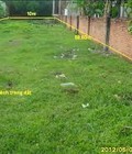 Hình ảnh: Đất thổ cư ở đường 13, bình hưng hòa 6x11m,Giá:970tr