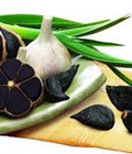 Hình ảnh: Tỏi đen Linh dược của cuộc sống