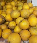 Hình ảnh: Bưởi Diễn Ngon