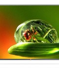 Hình ảnh: Phân phối TV led LG 32LB551T,TV LG 42LB551T, Full HD chính hãng.