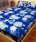 Hình ảnh: Drap thun lạnh loại 1: DT31