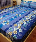 Hình ảnh: Drap thun lạnh loại 1: DT12