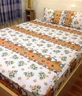 Hình ảnh: Drap thun lạnh loại 1: DT33