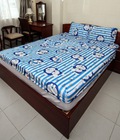 Hình ảnh: Drap thun lạnh loại 1: DT26