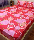 Hình ảnh: Drap thun lạnh loại 1: DT32